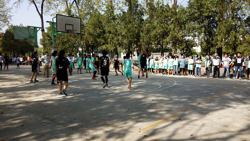 52369EA0D45B9A8F360CD9C1EA800A72_副本